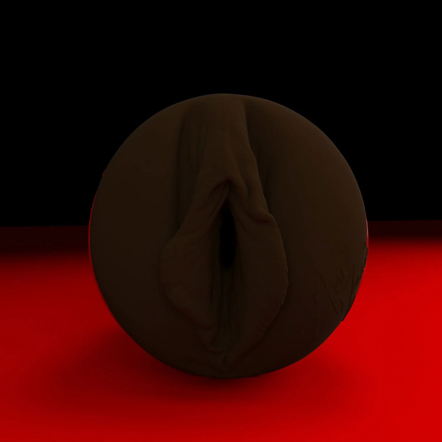 Ana Foxxx Ricky's Room Fleshlight - Image 5