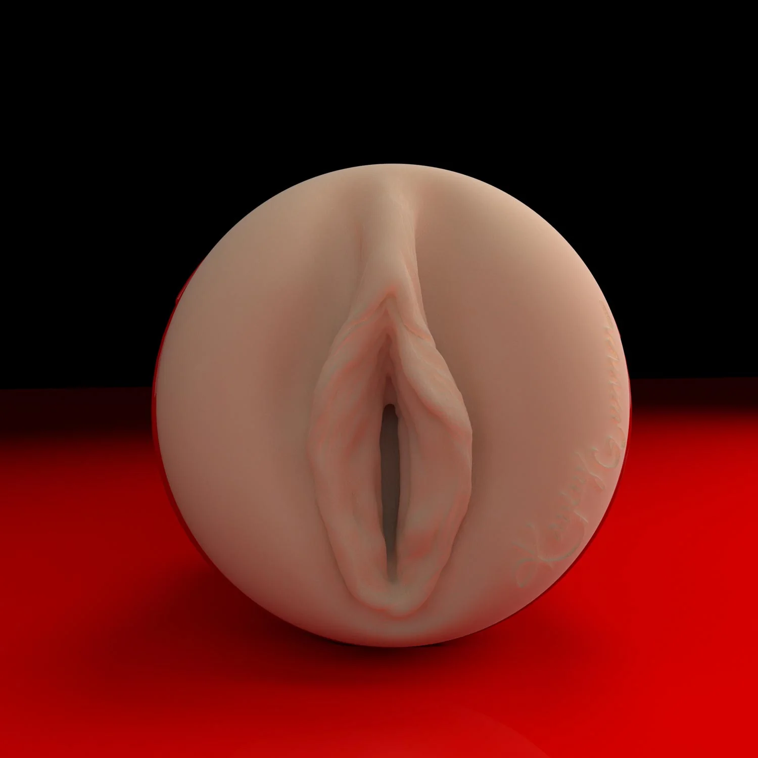 Kayley Gunner Ricky's Room Fleshlight - Image 5